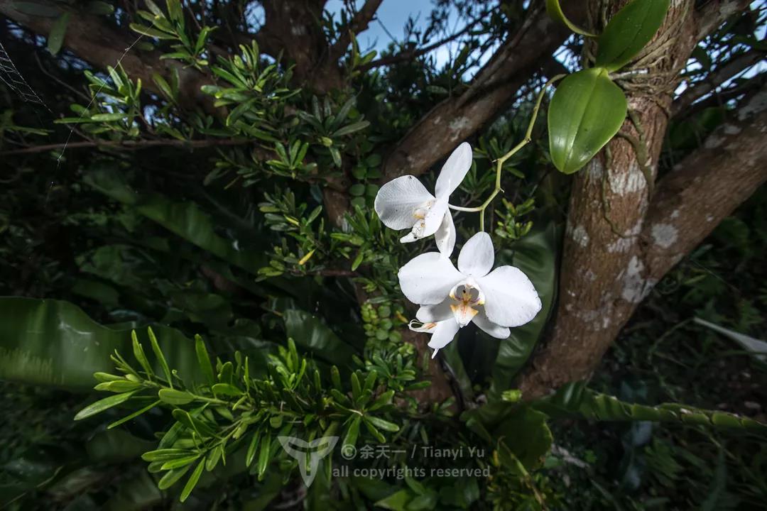 1579397363%E5%BE%AE%E4%BF%A1%E5%9B%BE%E7%89%87_20200119092919.jpg?size=108181