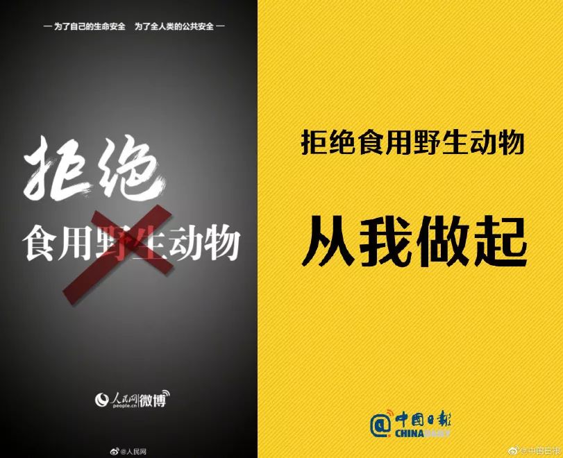 15799556261.jpg?size=79516