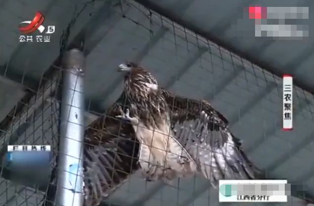 15799556603.jpg?size=35210