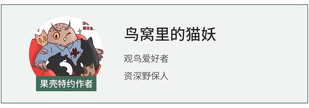 15799557216.jpg?size=31804