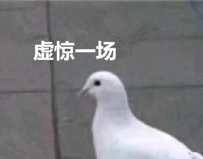 158131374613.jpg?size=9229