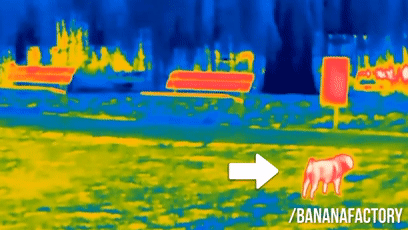 640?wx_fmt=gif