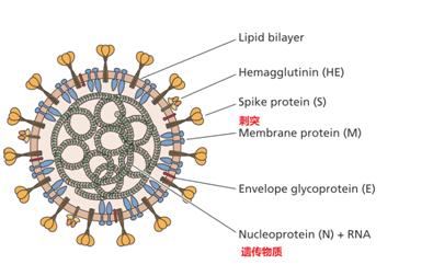 6b125c90969a4071b3d495e3c2f1e4d0