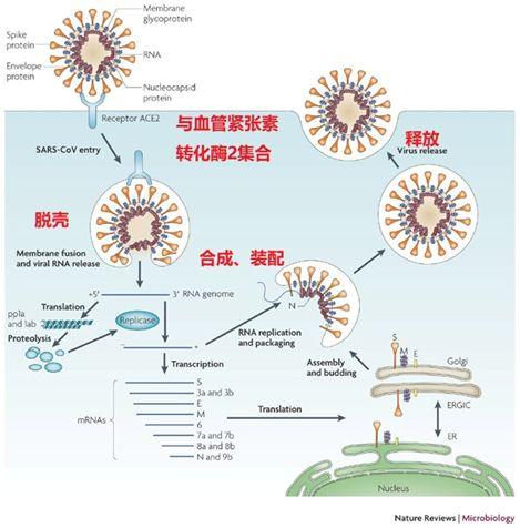 190c7b3df6a343b5a90cc6997fd15910